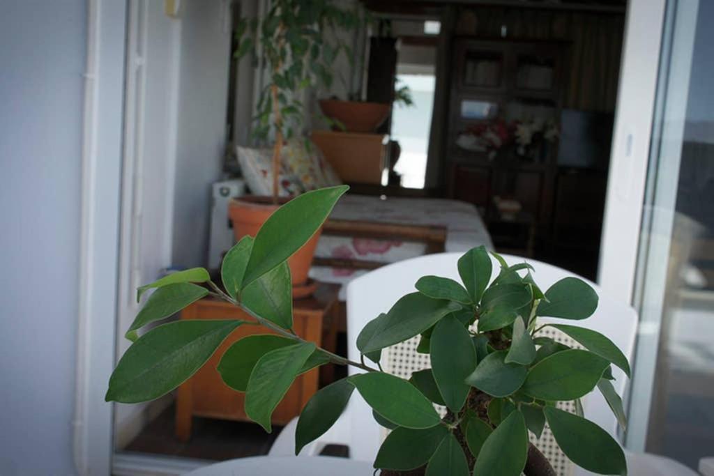Stavros Amazing Apartment In The Centre Of Kos Exterior photo